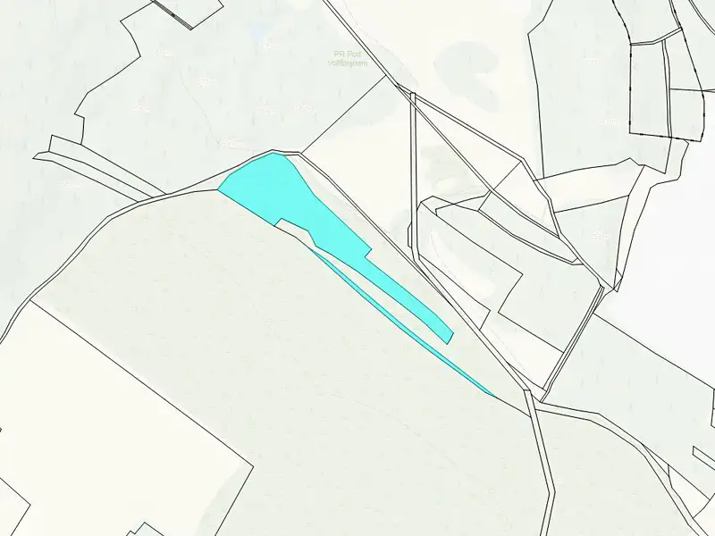 Dražba pozemku 17271 m², Černošín – náhled fotky 3