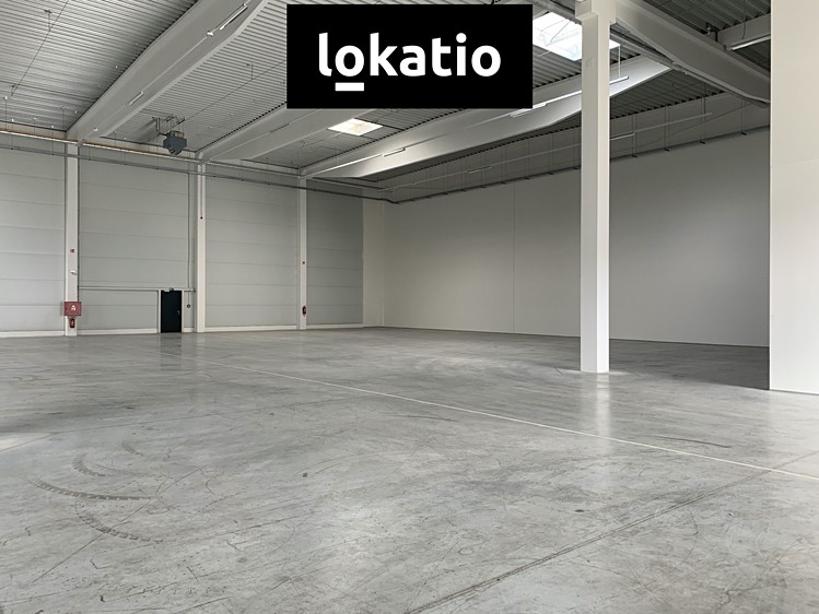 Pronájem komerčního prostoru, 4 766 m² (7 z 26)
