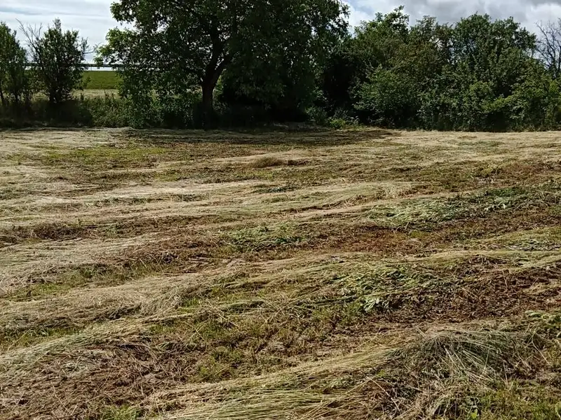 Prodej zahrady 694 m², Drysice – náhled fotky 3