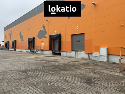 Pronájem komerčního prostoru, 4 766 m² (3 z 26)