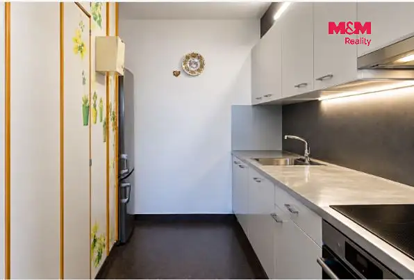 Prodej bytu 3+kk 53 m², Praha – náhled fotky 2