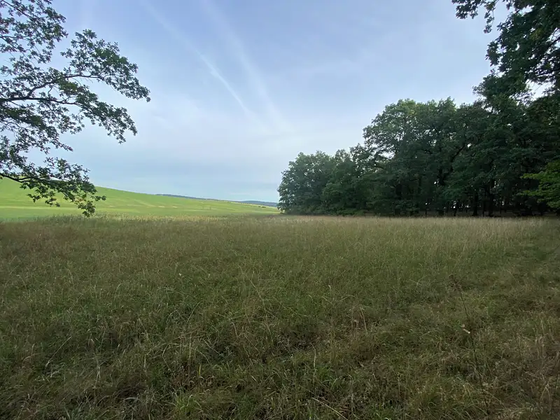 Prodej louky 2972 m², Ostřetín – náhled fotky 3