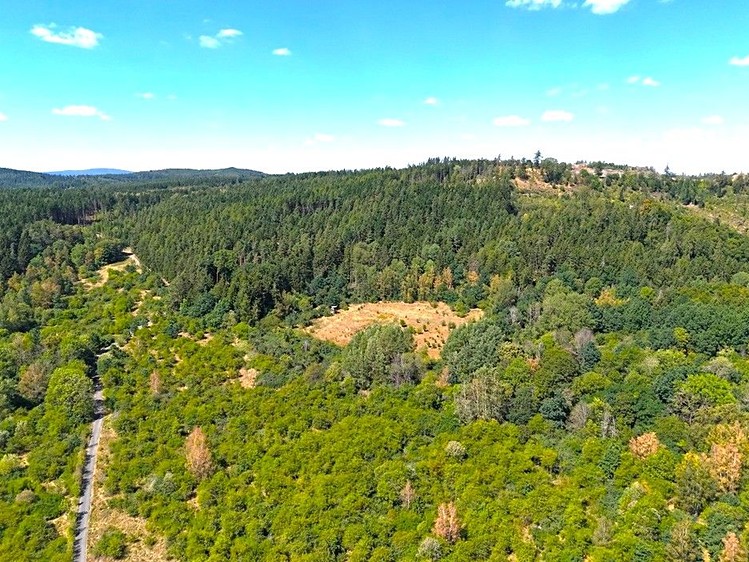 Grundstück zum Kauf, 8.000 m² (5 von 27)