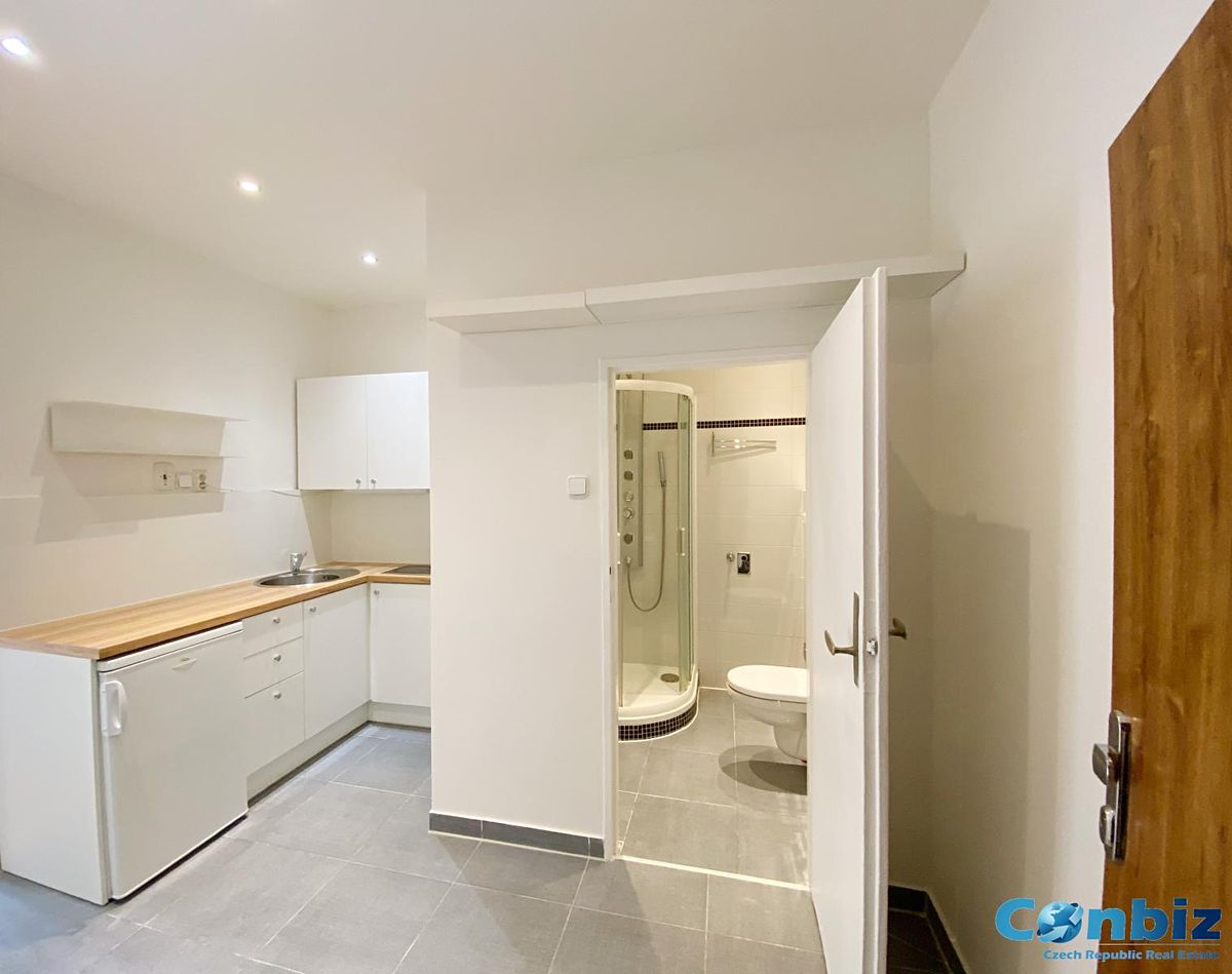 Prodej bytu 1+1 29 m²