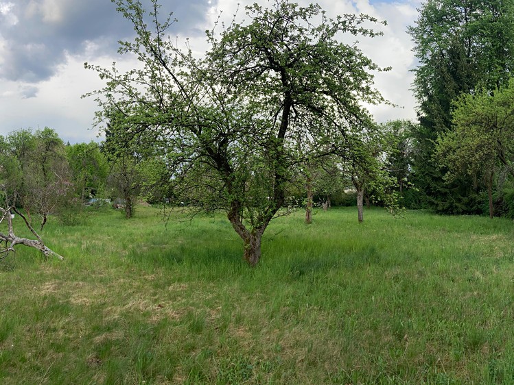 Prodej pozemku, 962 m² (4 z 27)