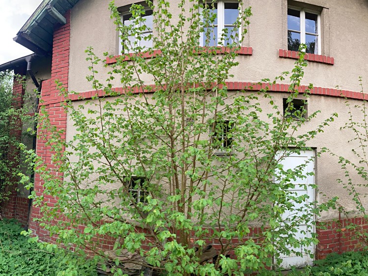 Prodej pozemku, 962 m² (15 z 27)