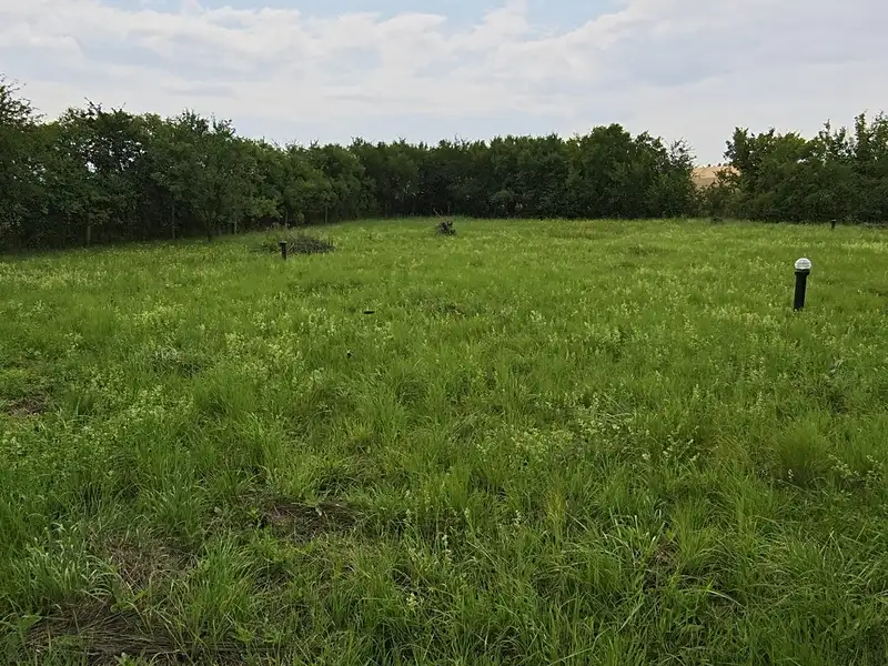 Prodej stavebního pozemku 1000 m², Dymokury – náhled fotky 3