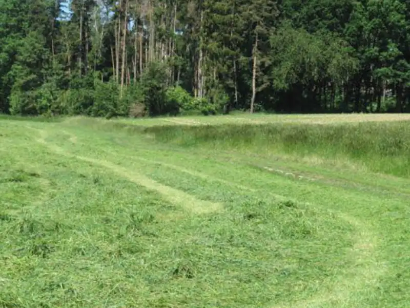 Dražba pole 1256 m², Hvozd – náhled fotky 1