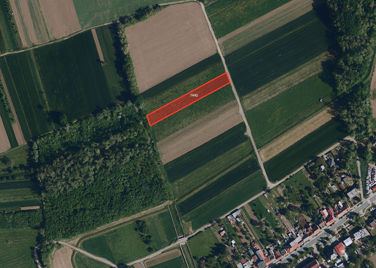 Prodej pole 3148 m², Pohořelice – fotka 1 z 3