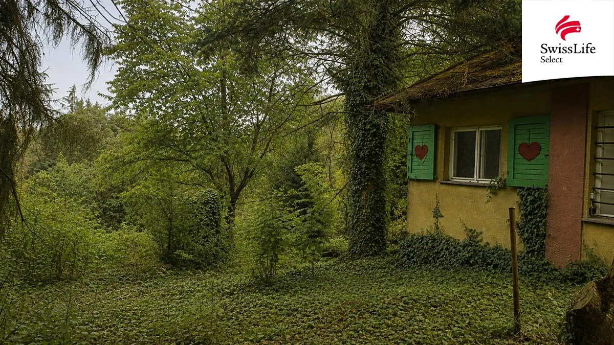 Fotka 8 z 15