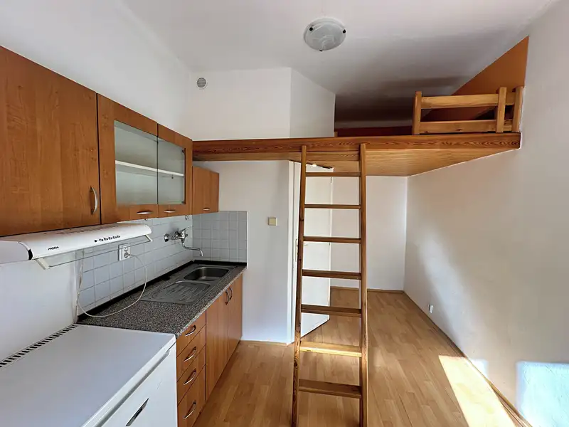 Pronájem bytu 1+kk 13 m², Praha – náhled fotky 1