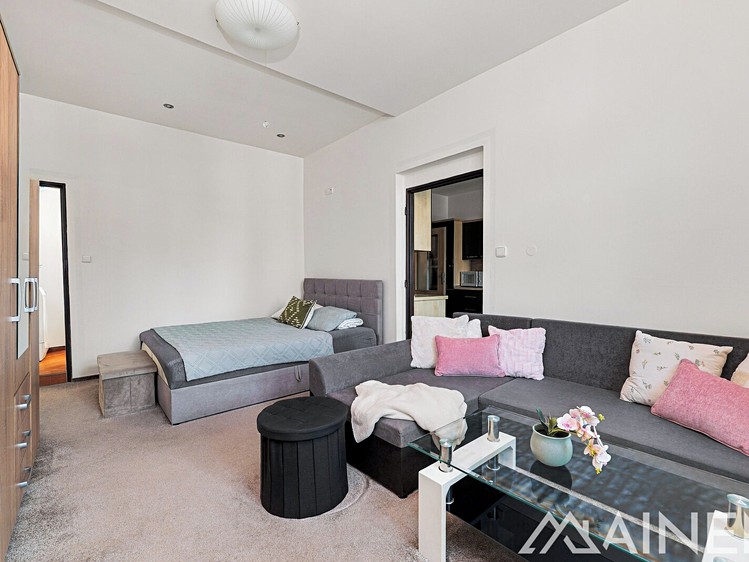 Prodej bytu 1+1, 49 m² (7 z 19)