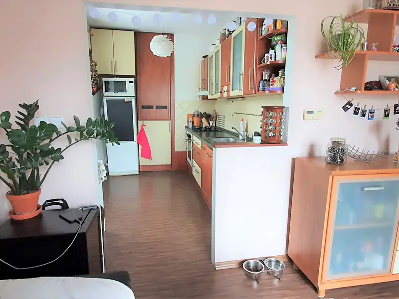 Pronájem bytu 2+kk 54 m², Jihlava – náhled fotky 3