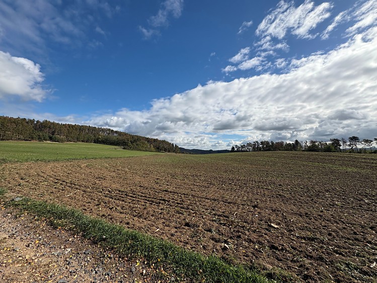 Grundstück zum Kauf, 85.916 m² (9 von 18)