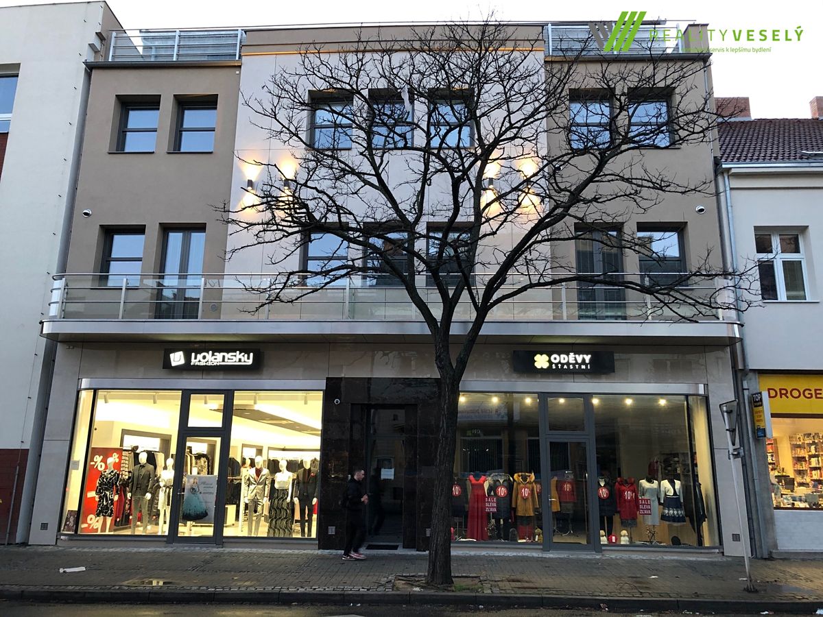 Pronájem bytu 1+kk 41 m²