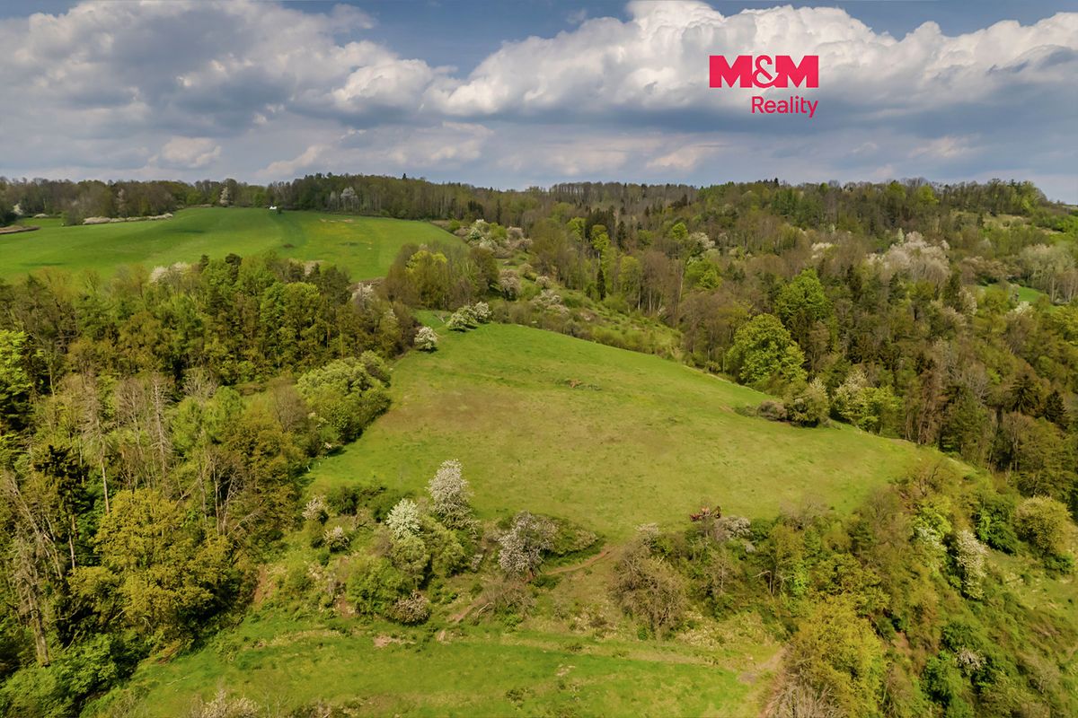 Prodej louky 89774 m², Starý Šachov – fotka 1 z 3