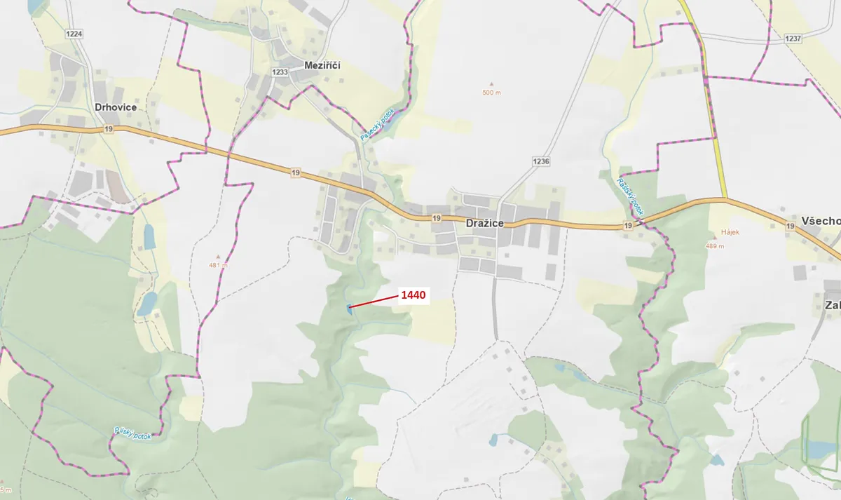 Dražba lesa 1097 m²