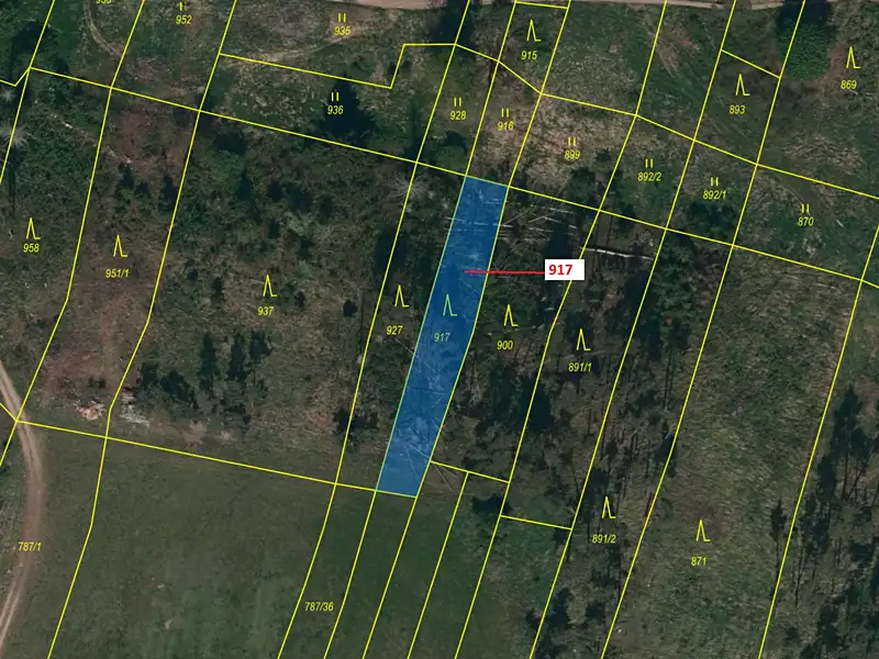 Dražba lesa 586 m², Vladislav – náhled fotky 2