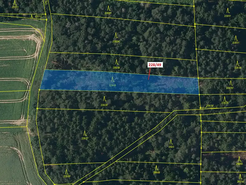 Dražba lesa 2070 m², Břežany – náhled fotky 2