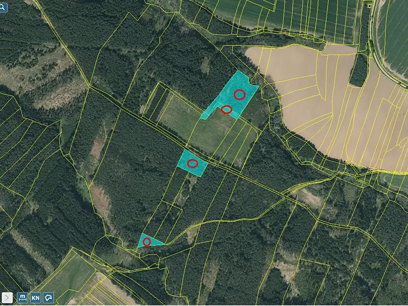 Prodej lesa 23812 m², Bečice – náhled fotky 3
