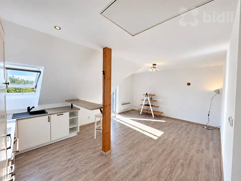 Pronájem bytu 2+kk 58 m², Plzeň – náhled fotky 2
