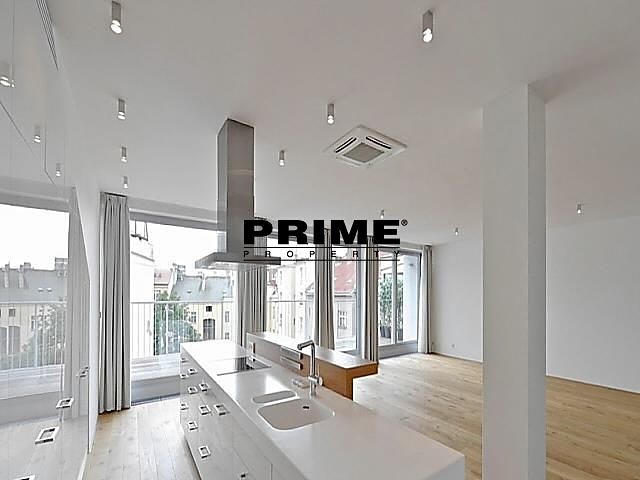 Wohnung 4+kk zur Miete, 200 m² (9 von 31)