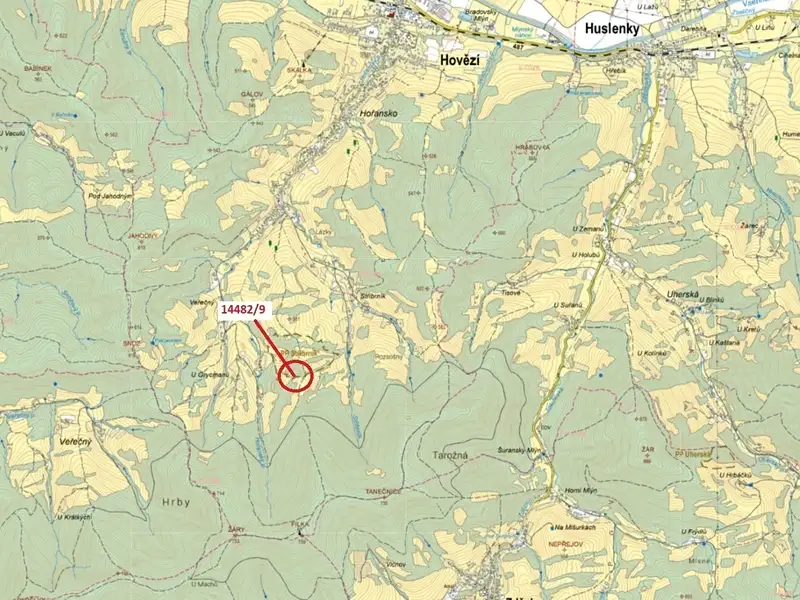 Dražba lesa 281 m², Hovězí – náhled fotky 1