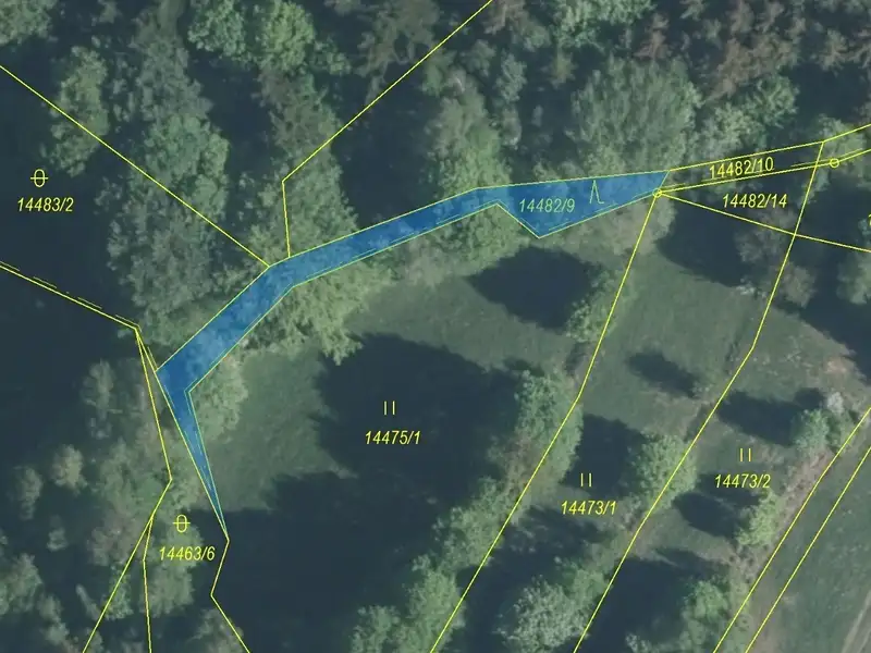 Dražba lesa 281 m², Hovězí – náhled fotky 2