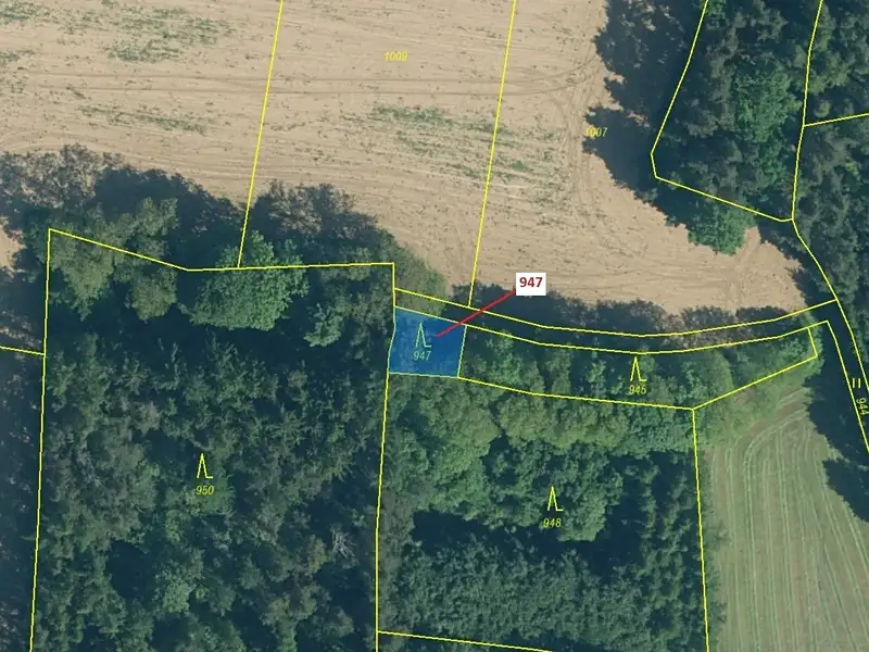 Dražba lesa 126 m², Nezdřev – náhled fotky 2
