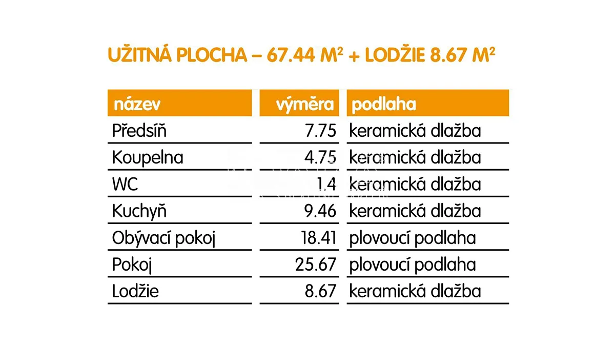 Fotka 10 z 13