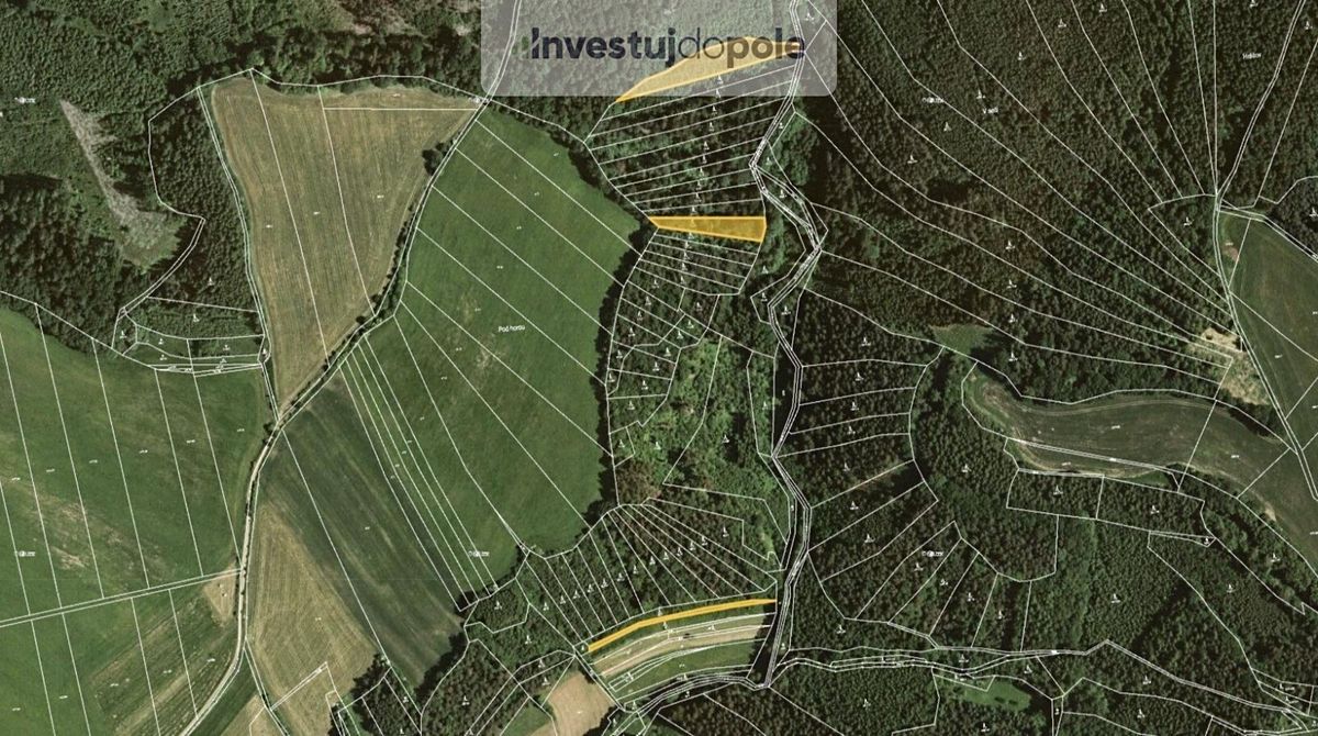 Prodej lesa 4290 m², Letovice – fotka 1 z 3
