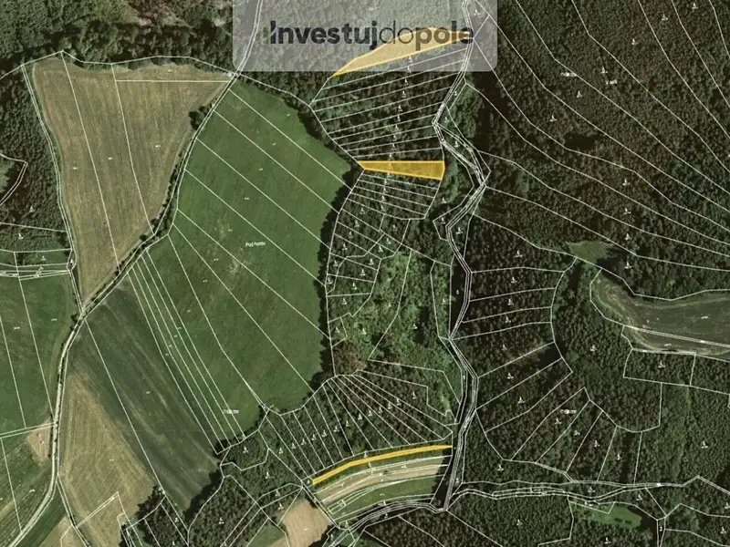 Prodej lesa 4290 m², Letovice – náhled fotky 1