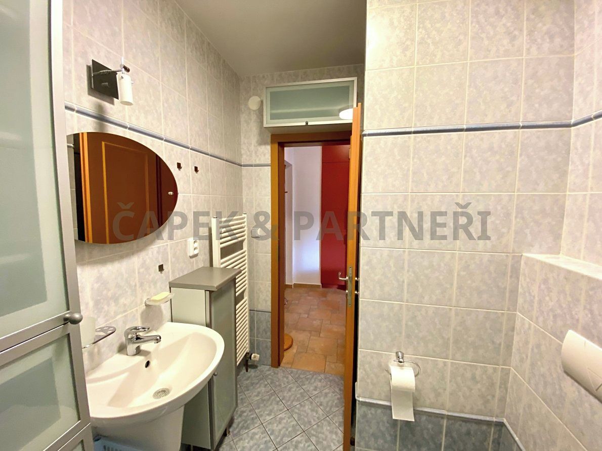Pronájem bytu 1+kk 35 m² – fotografie 5
