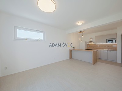 Wohnung 2+kk zur Miete, 44 m² (2 von 24)
