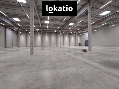 Pronájem komerčního prostoru, 3 858 m² (2 z 13)