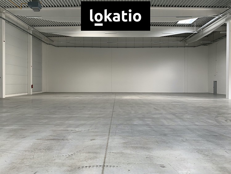 Pronájem komerčního prostoru, 4 766 m² (11 z 26)