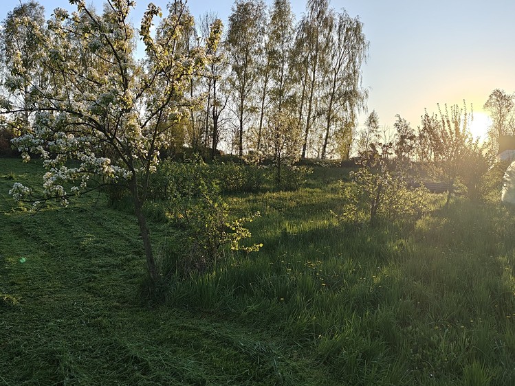 Ділянка на продаж, 4 421 м² (2 з 17)