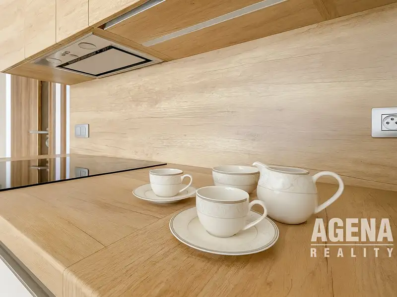 Pronájem bytu 1+kk 44 m², Beroun – náhled fotky 2