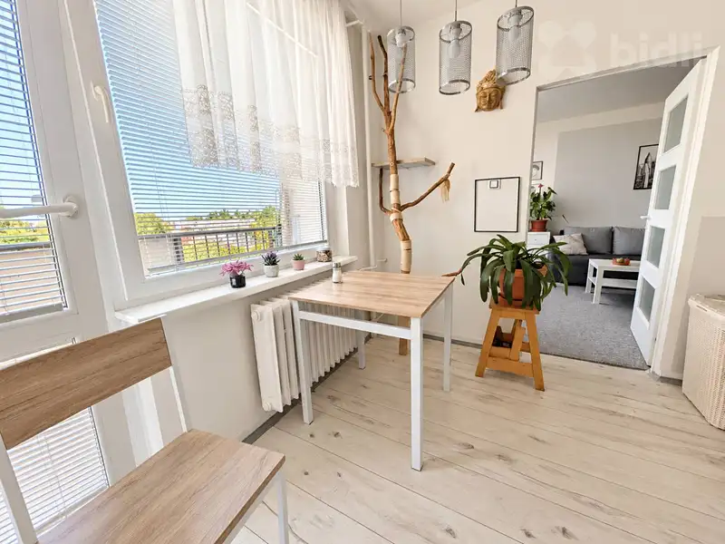 Prodej bytu 1+1 45 m², Šternberk – náhled fotky 3