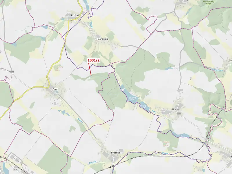 Dražba lesa 150 m², Březí nad Oslavou – náhled fotky 1