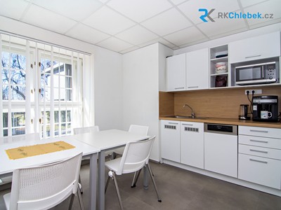 Pronájem komerčního prostoru, 396 m² (3 z 21)