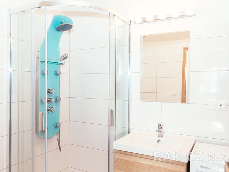 Prodej domu, 338 m² (10 z 19)