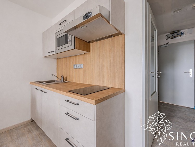 Квартира 1+kk в оренду, 28 м² (5 з 14)