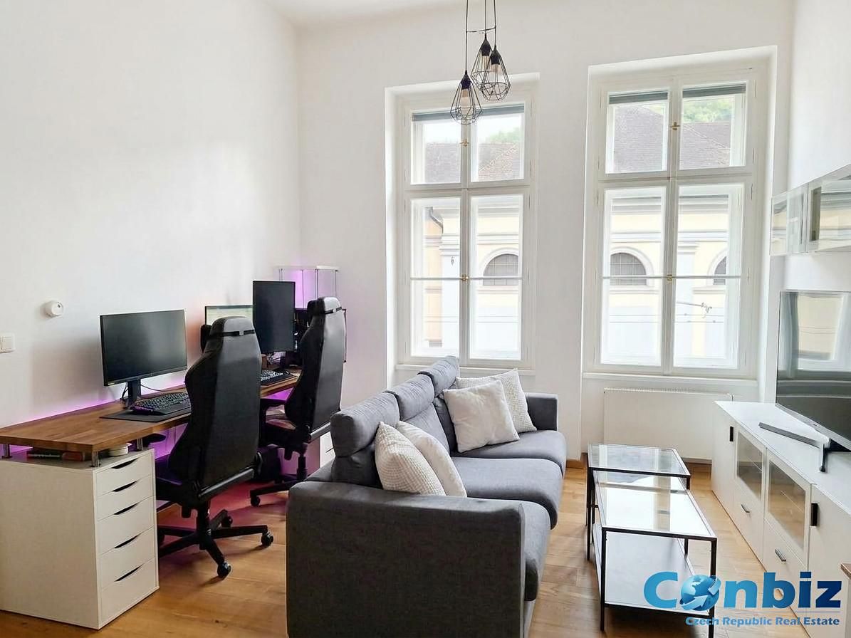 Pronájem bytu 3+kk 60 m² – fotografie 4