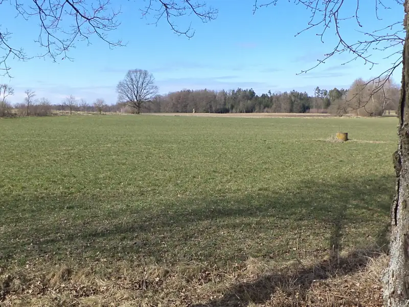 Dražba pole 5200 m², Stříbřec – náhled fotky 3