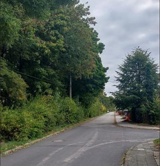 Grundstück zum Kauf, 2.004 m² (1 von 11)