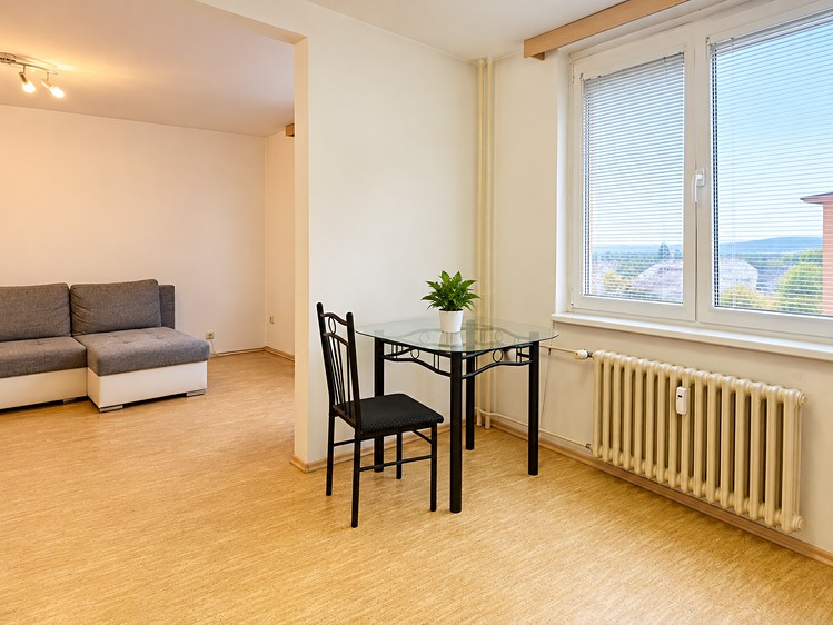 Wohnung 1+kk zur Miete, 48 m² (2 von 9)