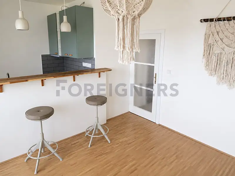 Pronájem bytu 3+kk 50 m², Brno – náhled fotky 2