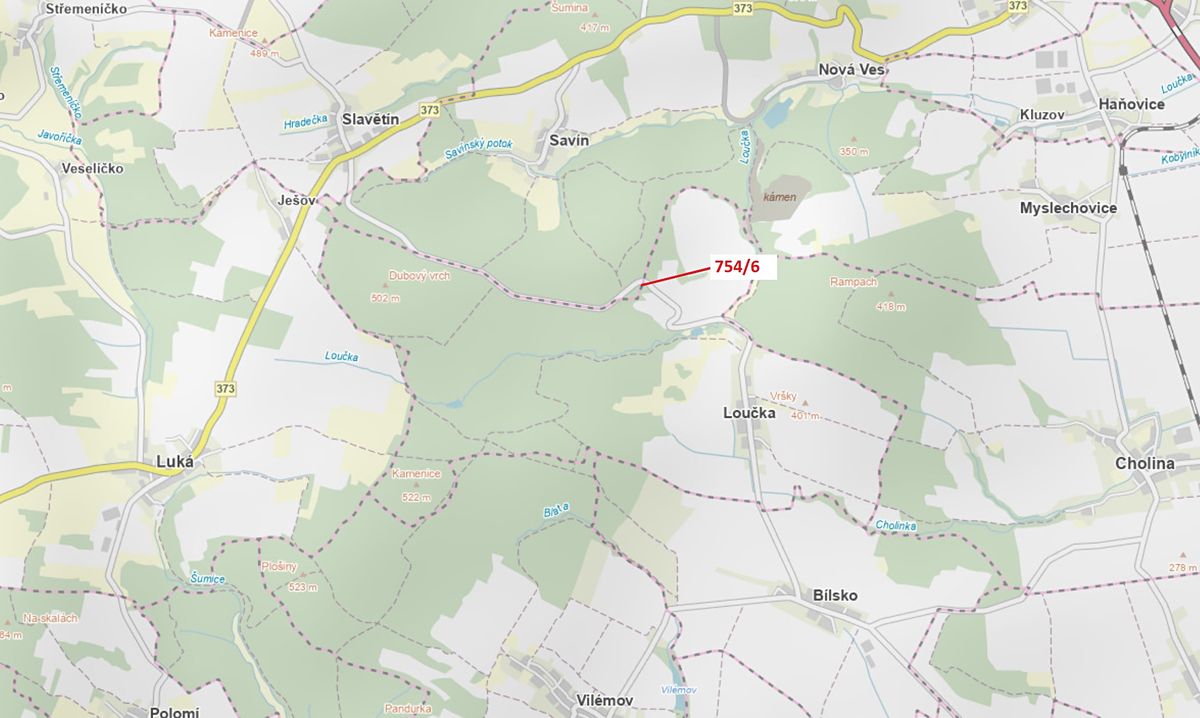 Dražba lesa 294 m², Loučka – fotka 1 z 3