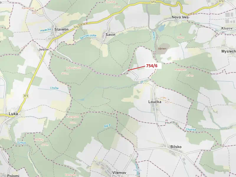 Dražba lesa 294 m², Loučka – náhled fotky 1